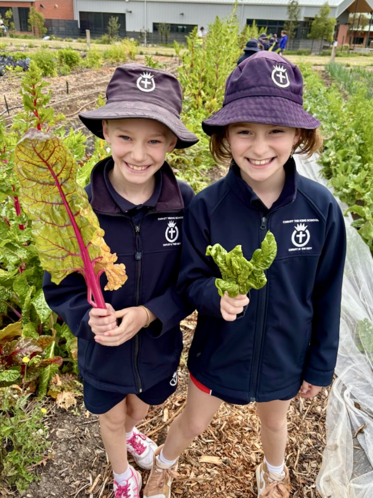 Students harvesting vegetables in the school garden with smiles
