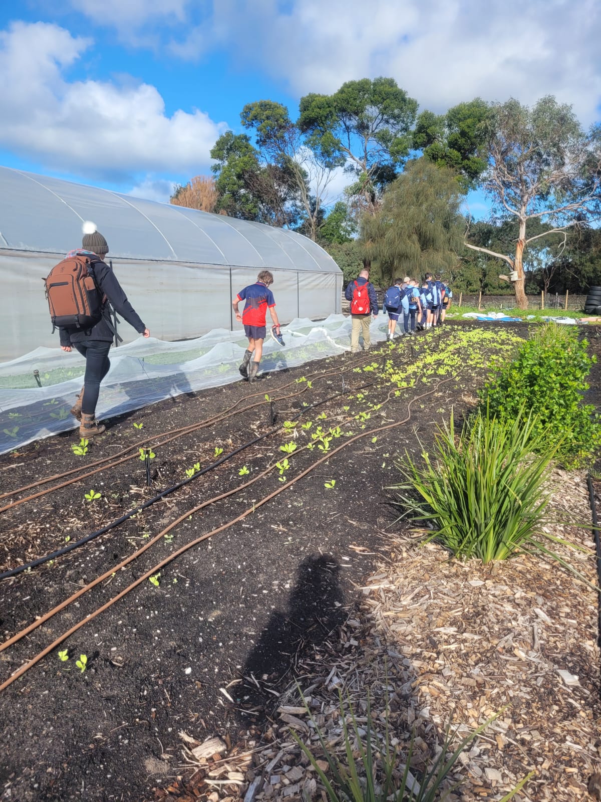 Students walking through the winter garden