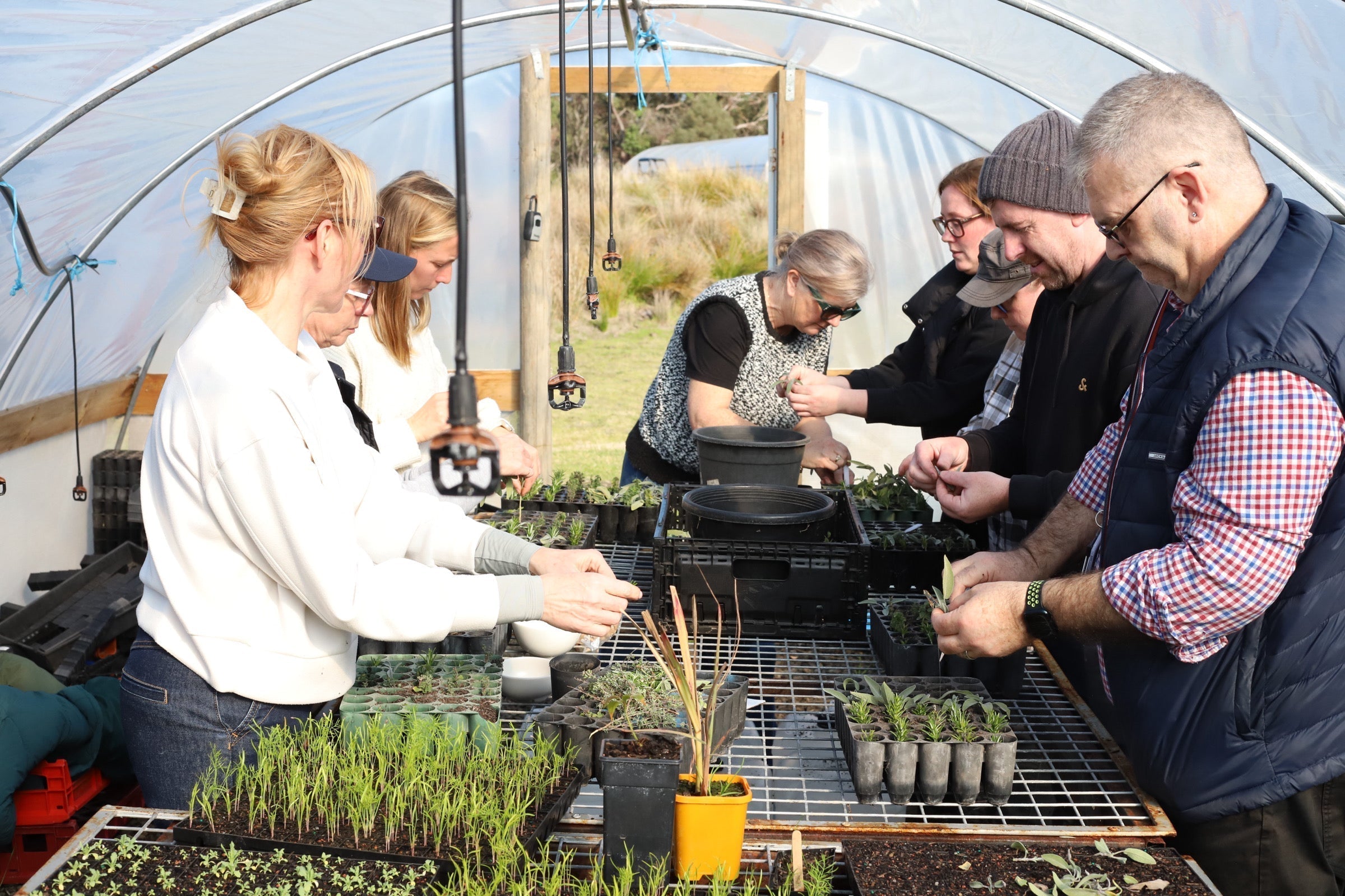 Corporate team participating in a hands-on farm activity at Farm My School