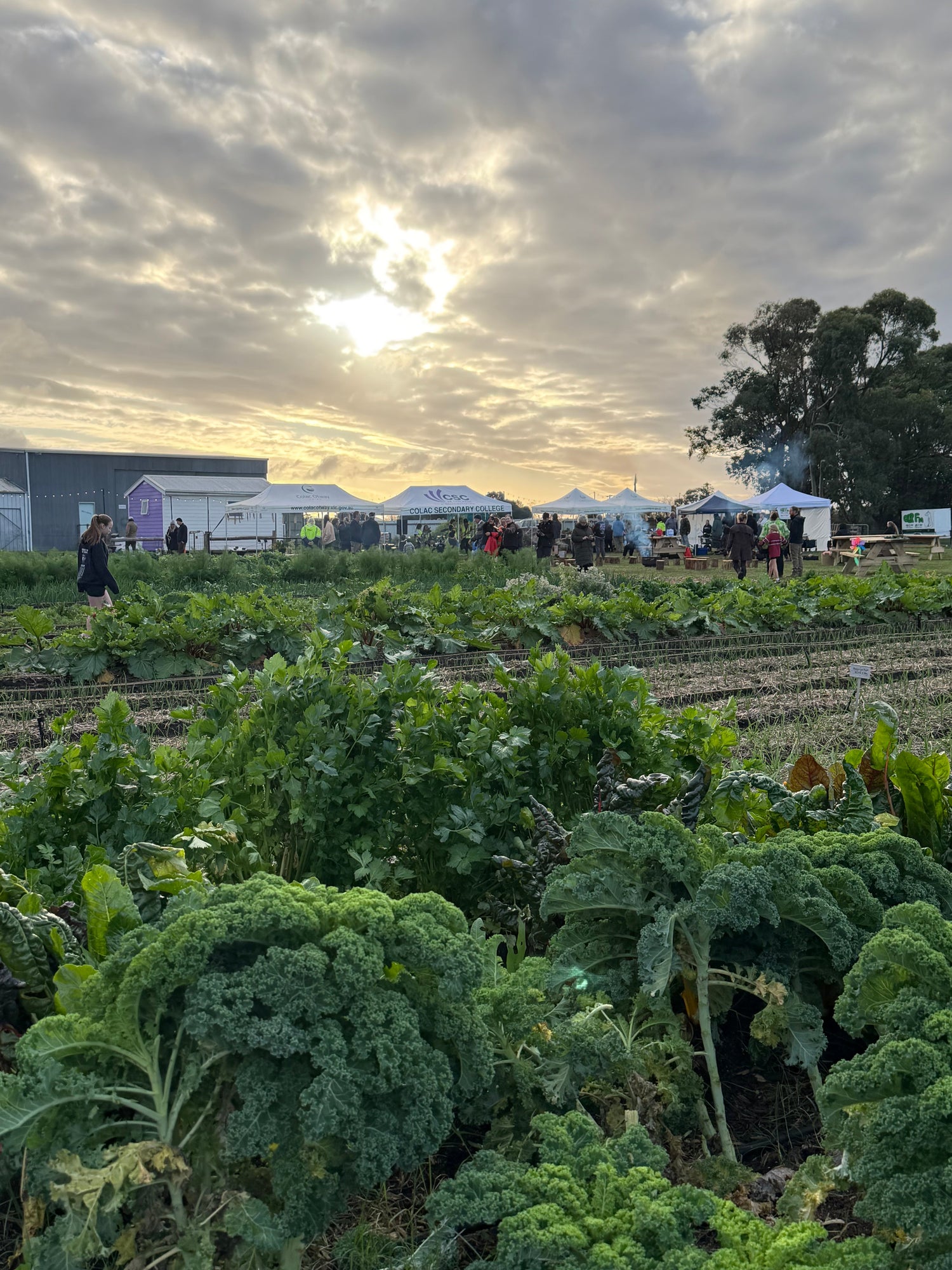 Farm My School Colac