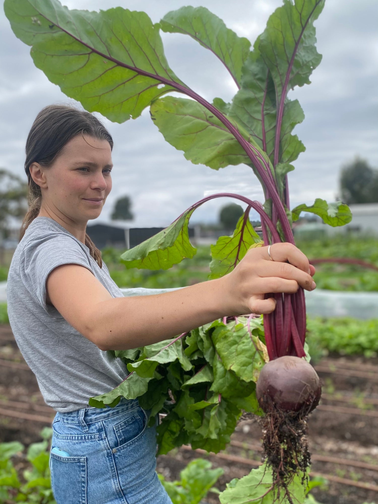 Farm My School: What is Nutrient-Dense Food?