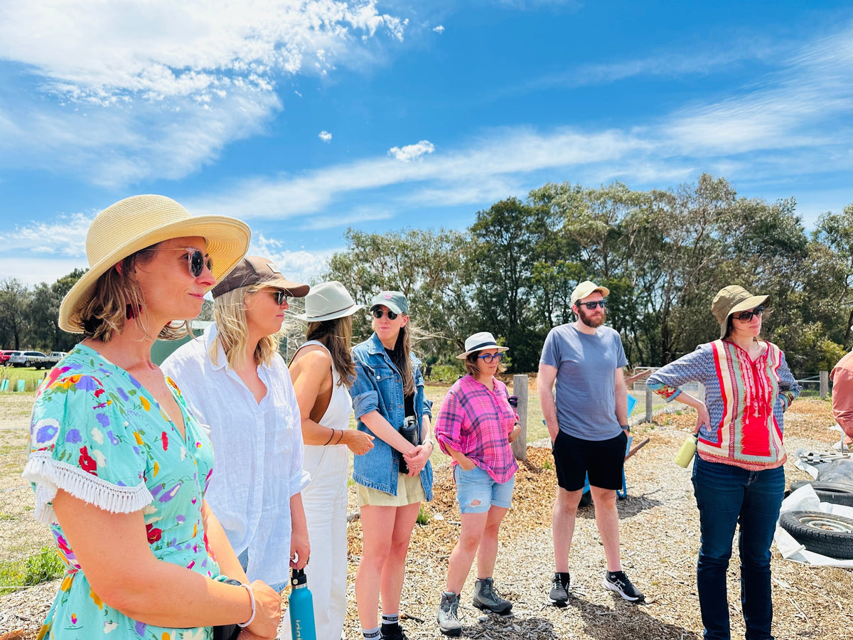 On-Farm Experiences: End-of-Year Celebrations That Actually Mean Something