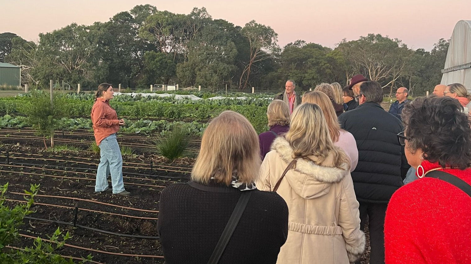 Participants on a sunset farm tour at Farm My School, learning about seasonal food and sustainability as part of the Nourish Nosh Long Table event.