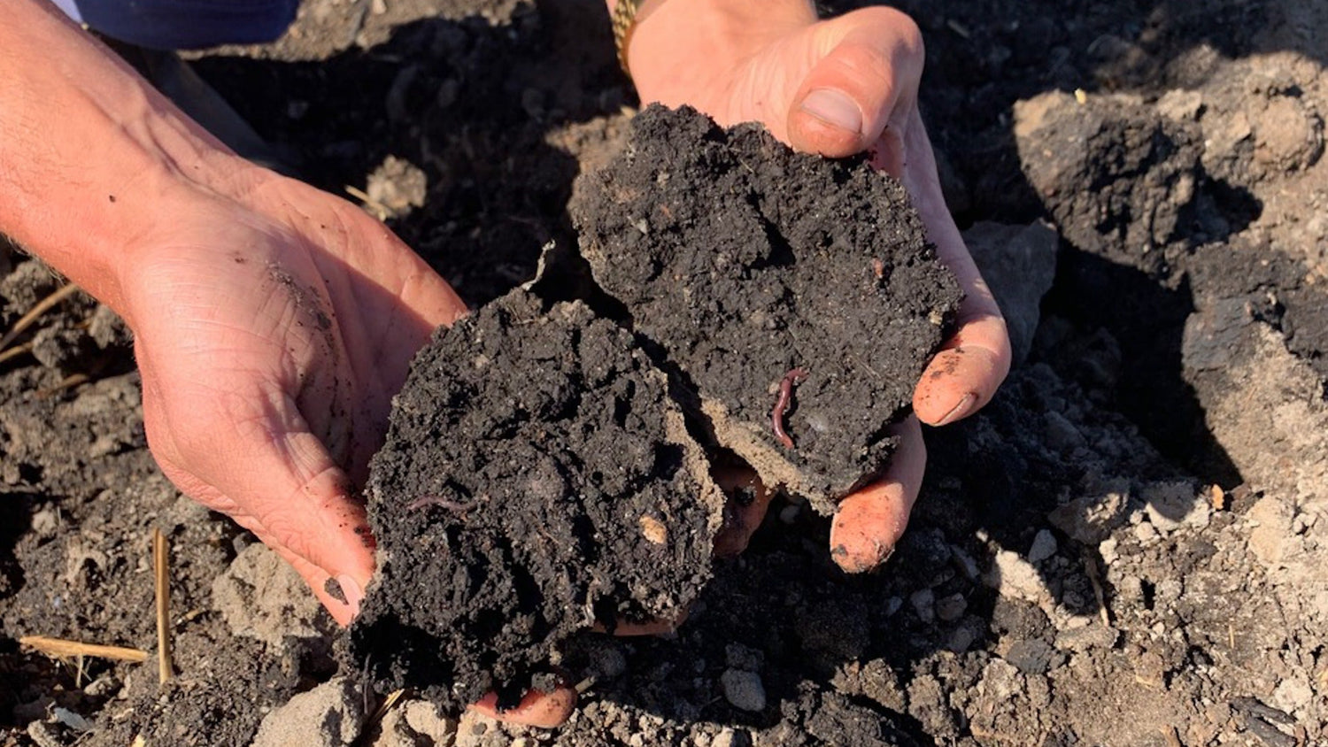Hands holding rich soil at Farm My School, symbolising how gardens become living classrooms for real-world learning.