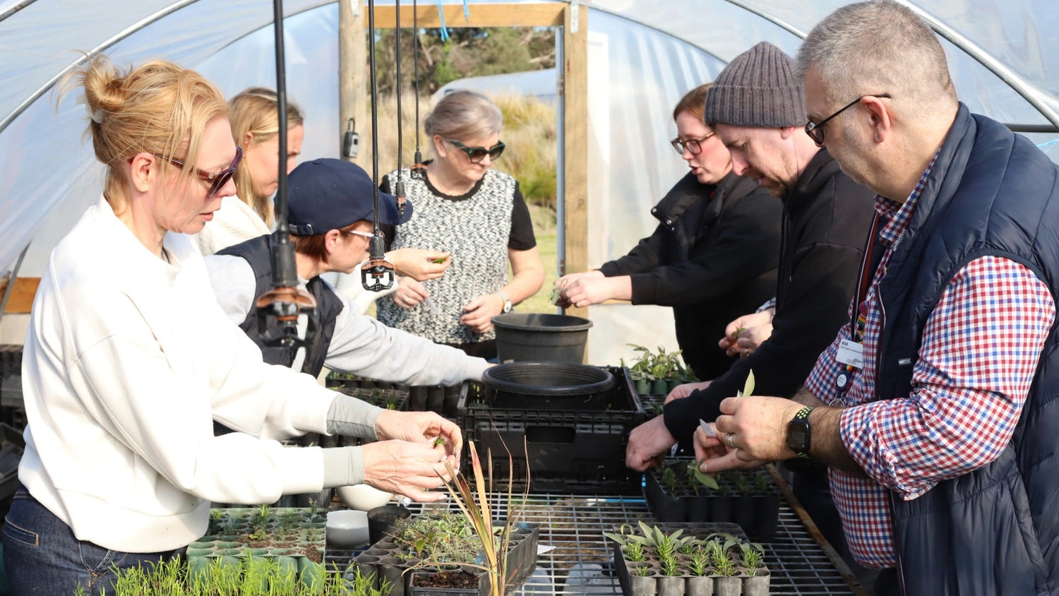 Corporate team participating in a hands-on farm activity at Farm My School