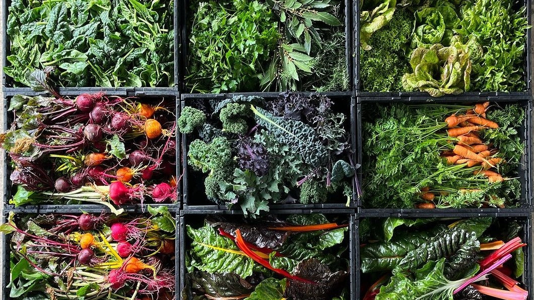 farm my school veggies boxes lined up next to each other full of seasonal organic produce