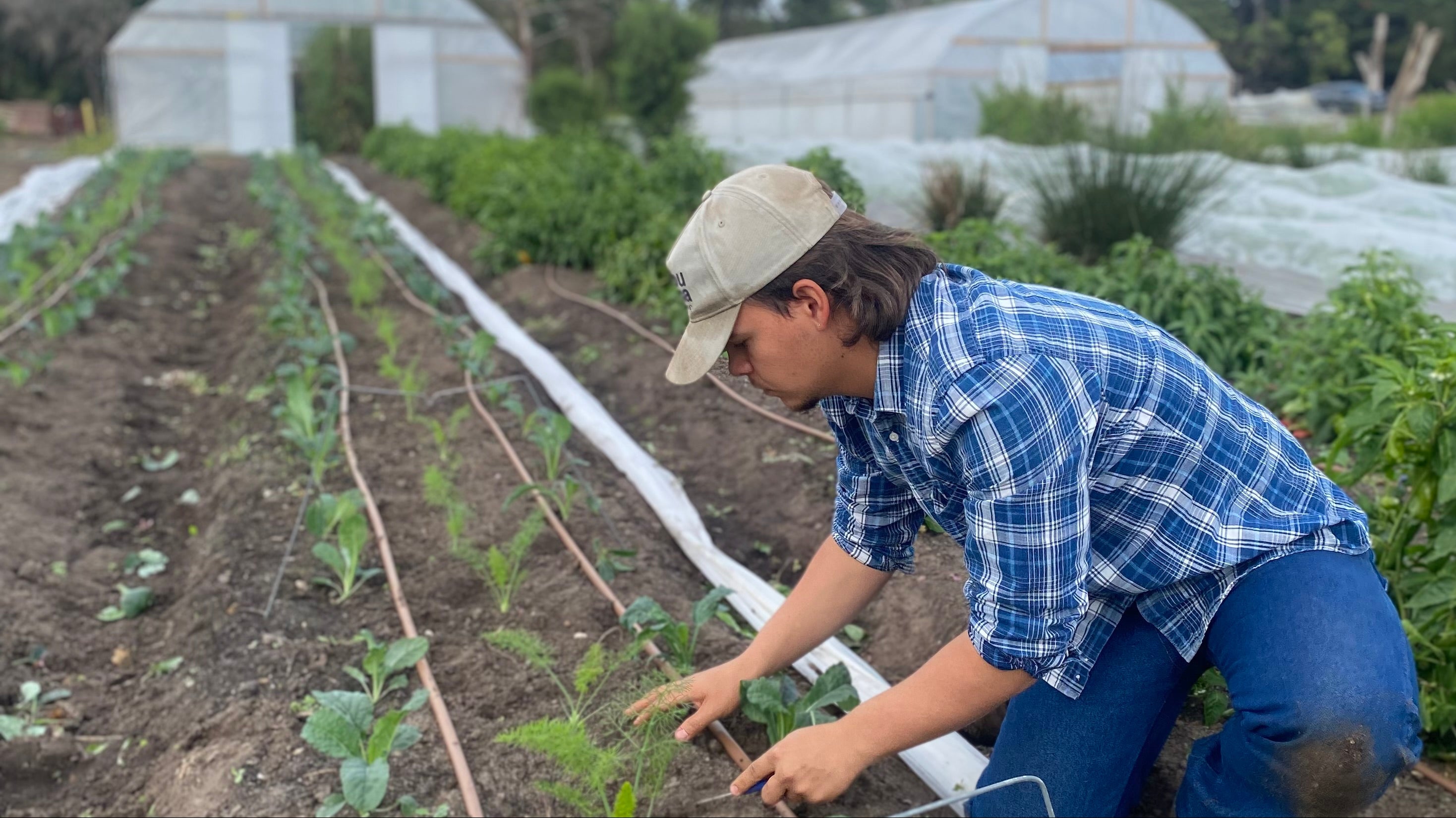 Trainee farmer Alex working at Farm My School Bellarine