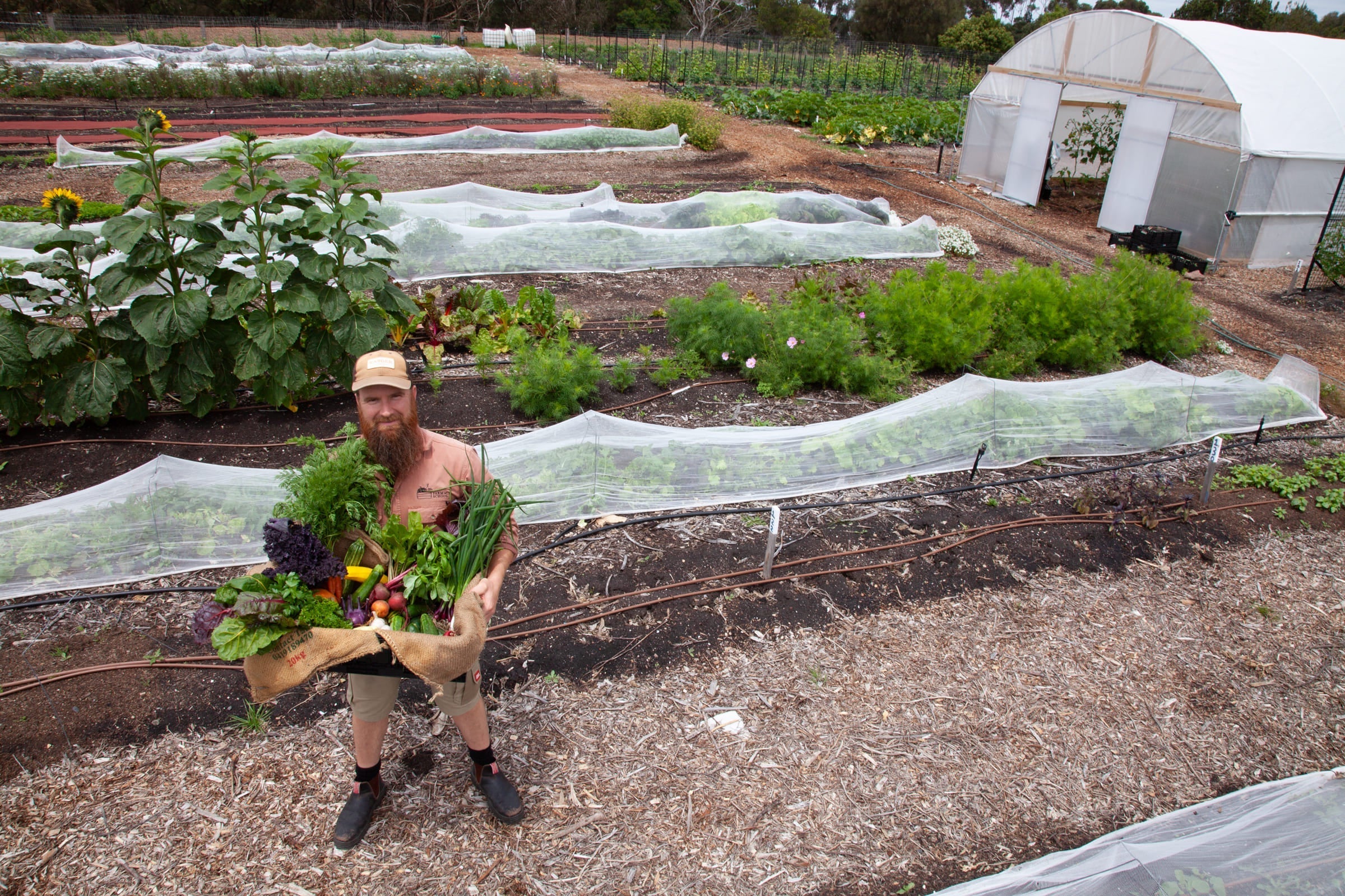 Farm My School Veggie Box organically-grown and seasonal produce