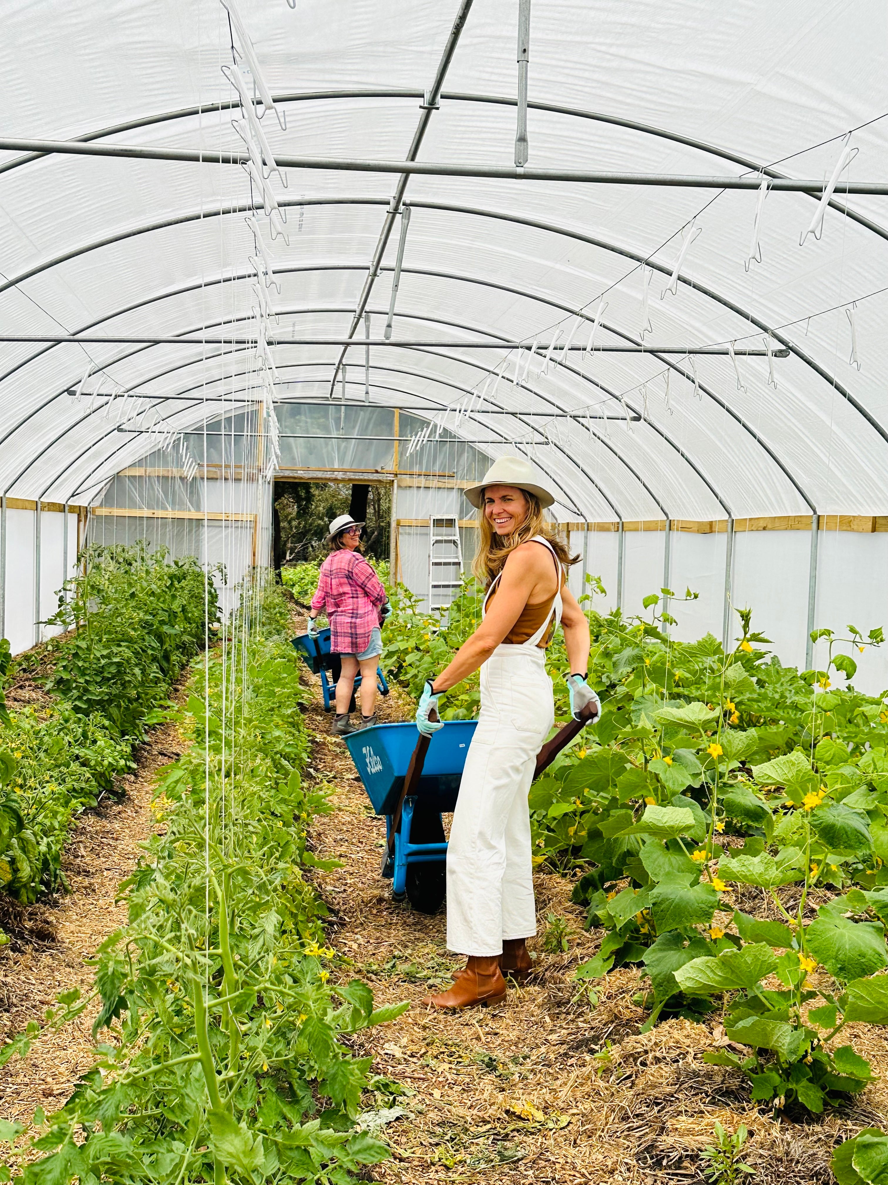 Corporate leadership team doing hands-on farm work at Farm My School