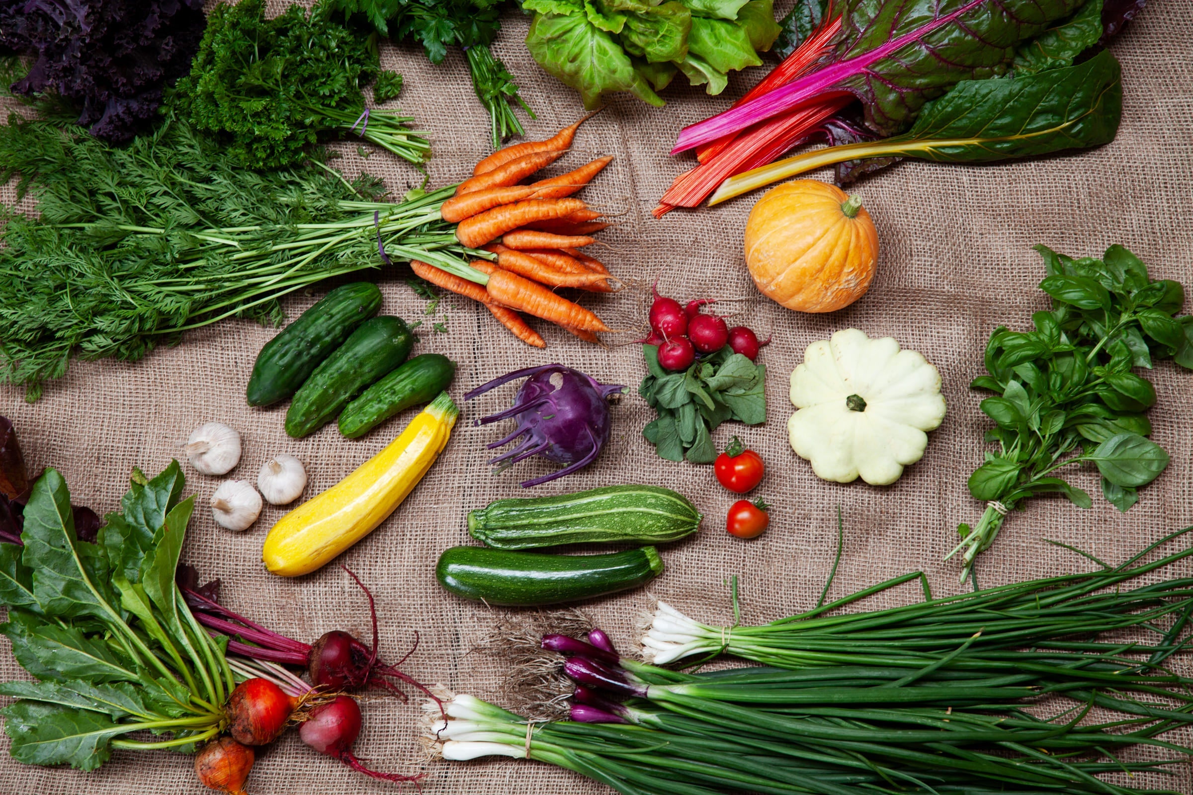 Farm My School veggie boxes with organically-grown and seasonal produce