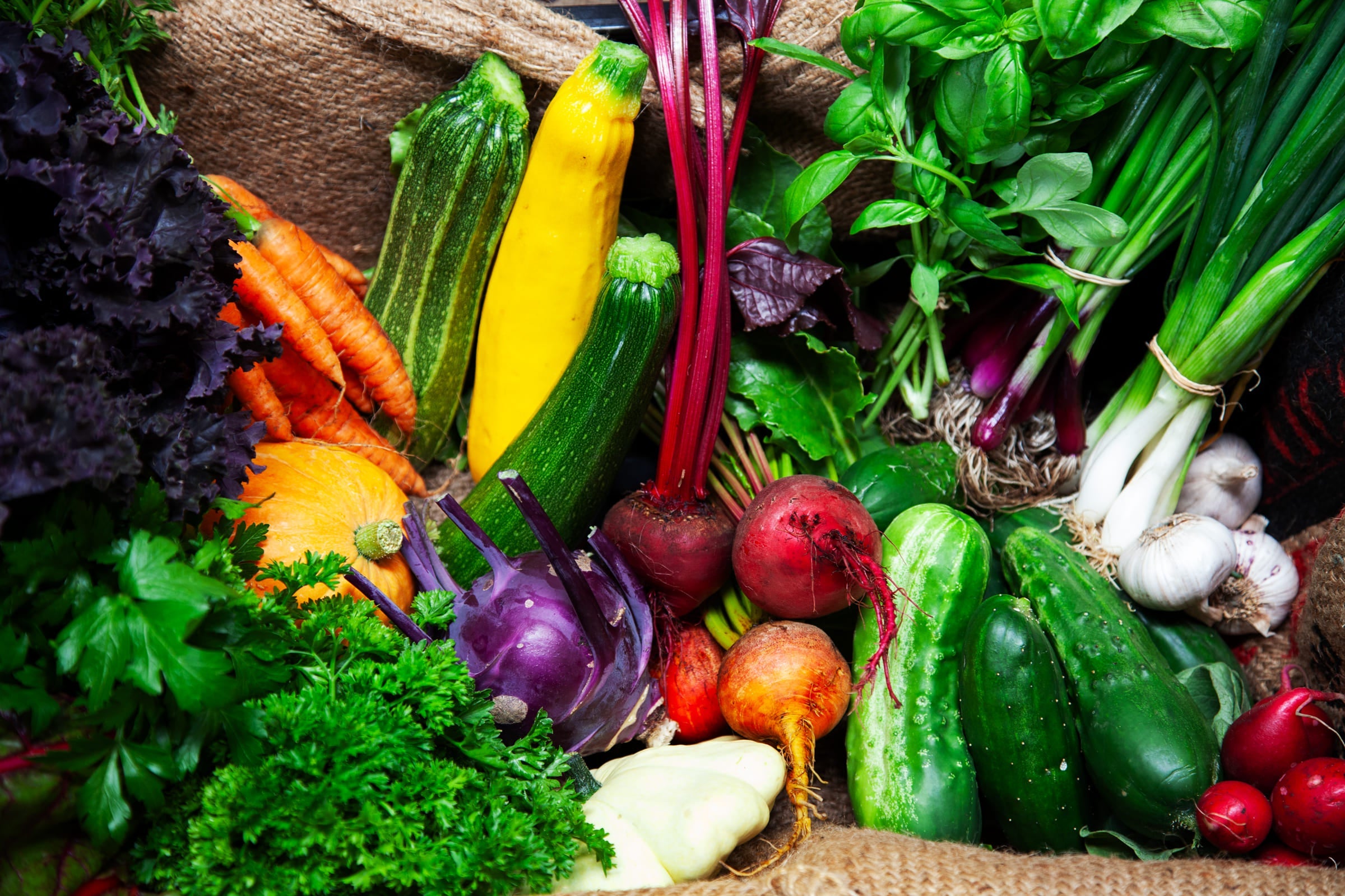 Farm My School veggie box with organically-grown and seasonal produce