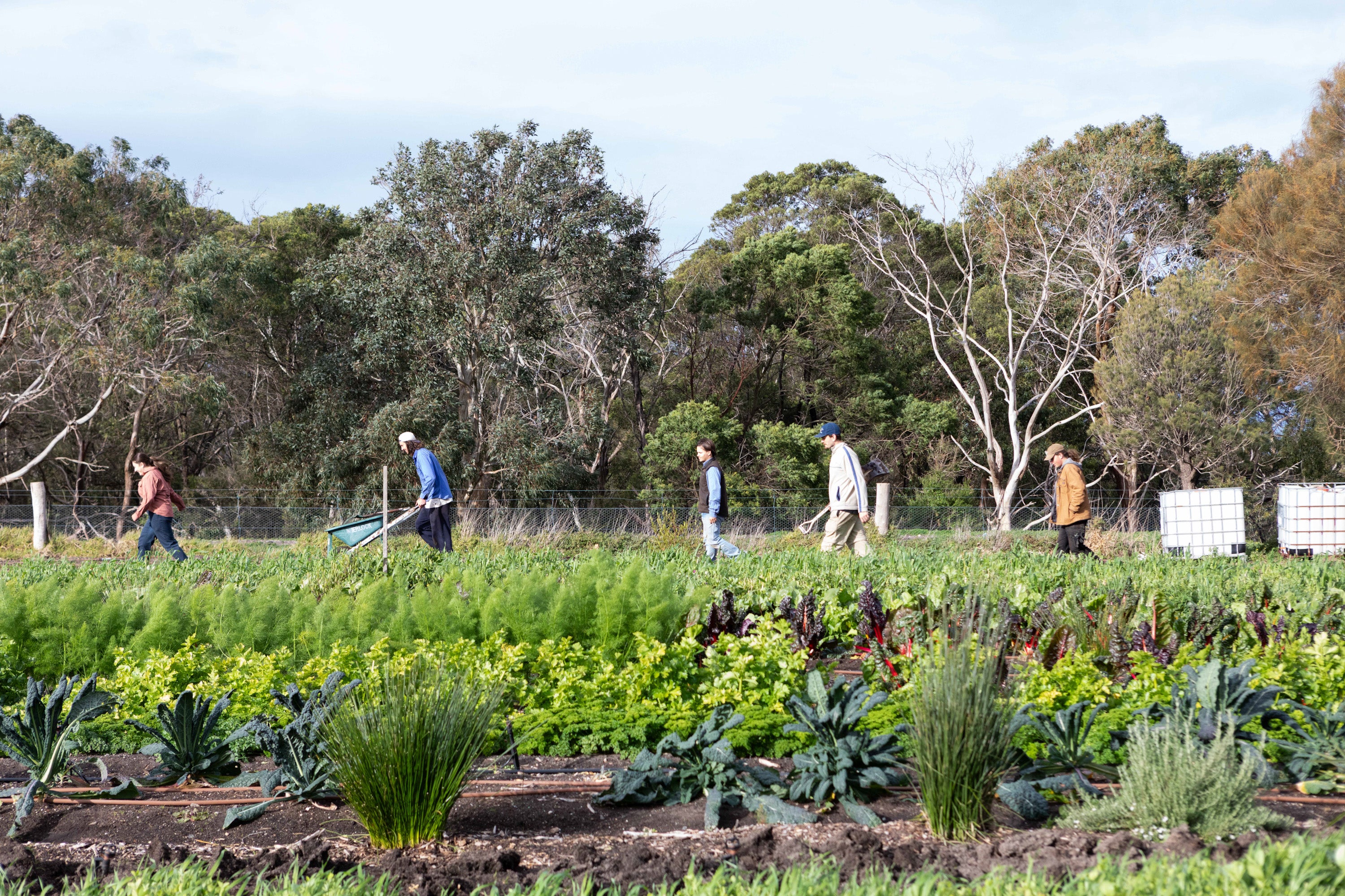 Students working in a school market garden through Farm My School, where donations help grow future food leaders.