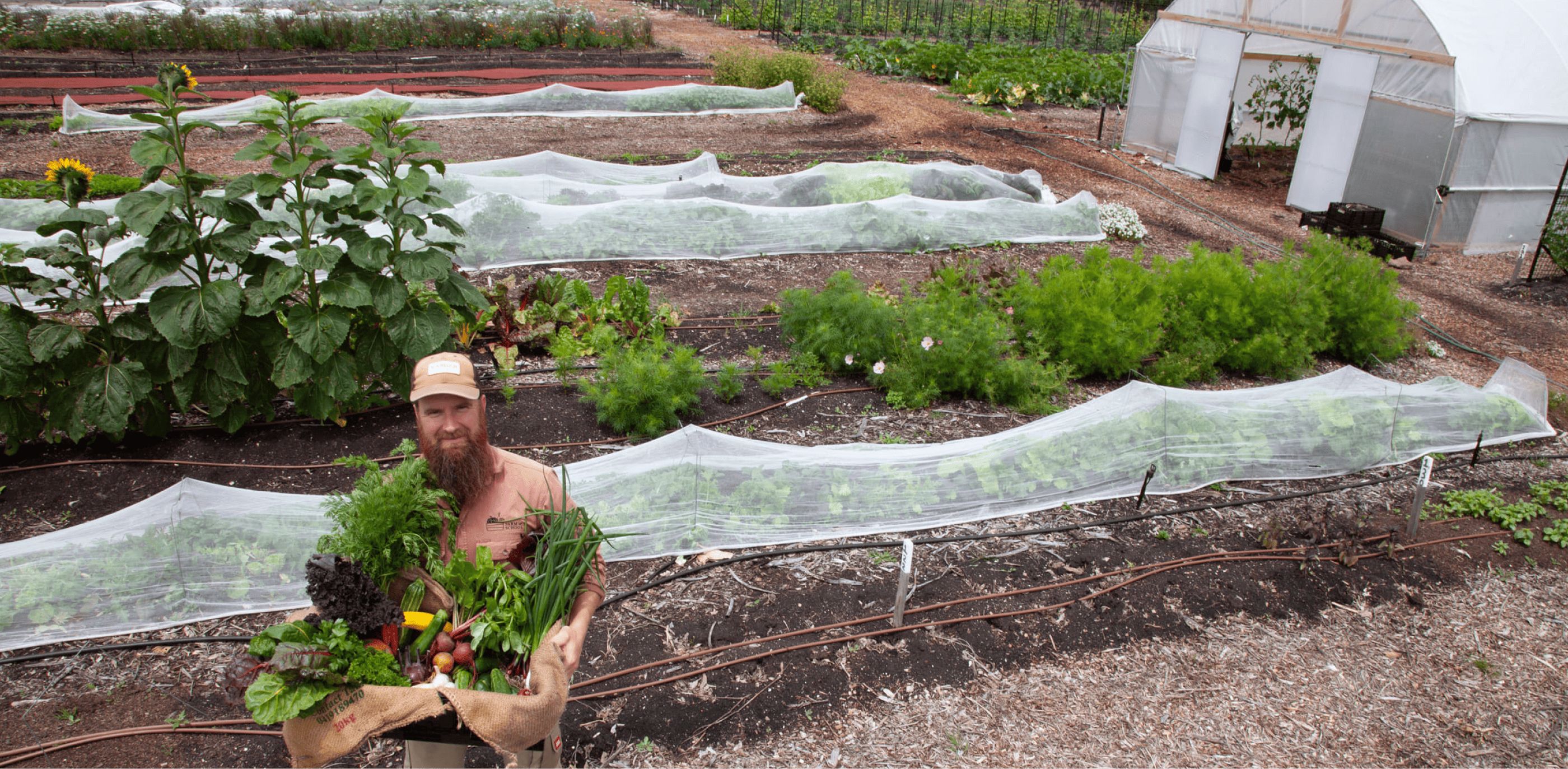 Farm My School farmer holding a box of freshly harvested produce among thriving school garden beds.