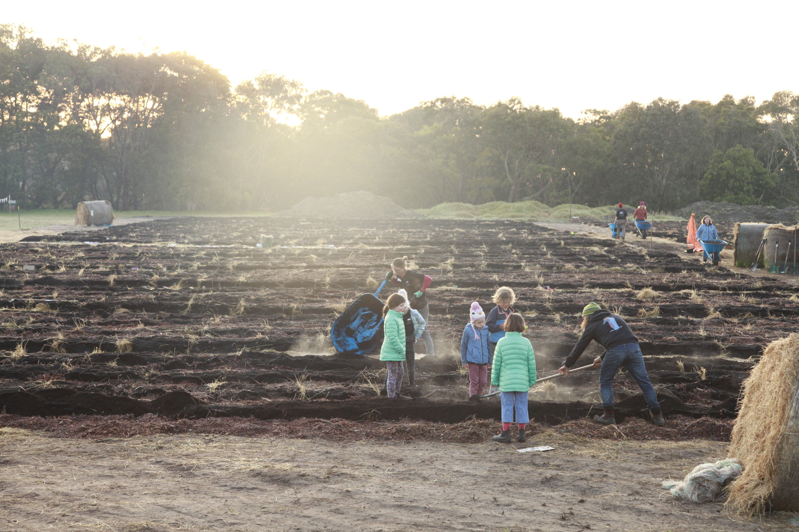 Students and volunteers preparing soil beds at a Farm My School site, turning underutilised land into a productive school farm