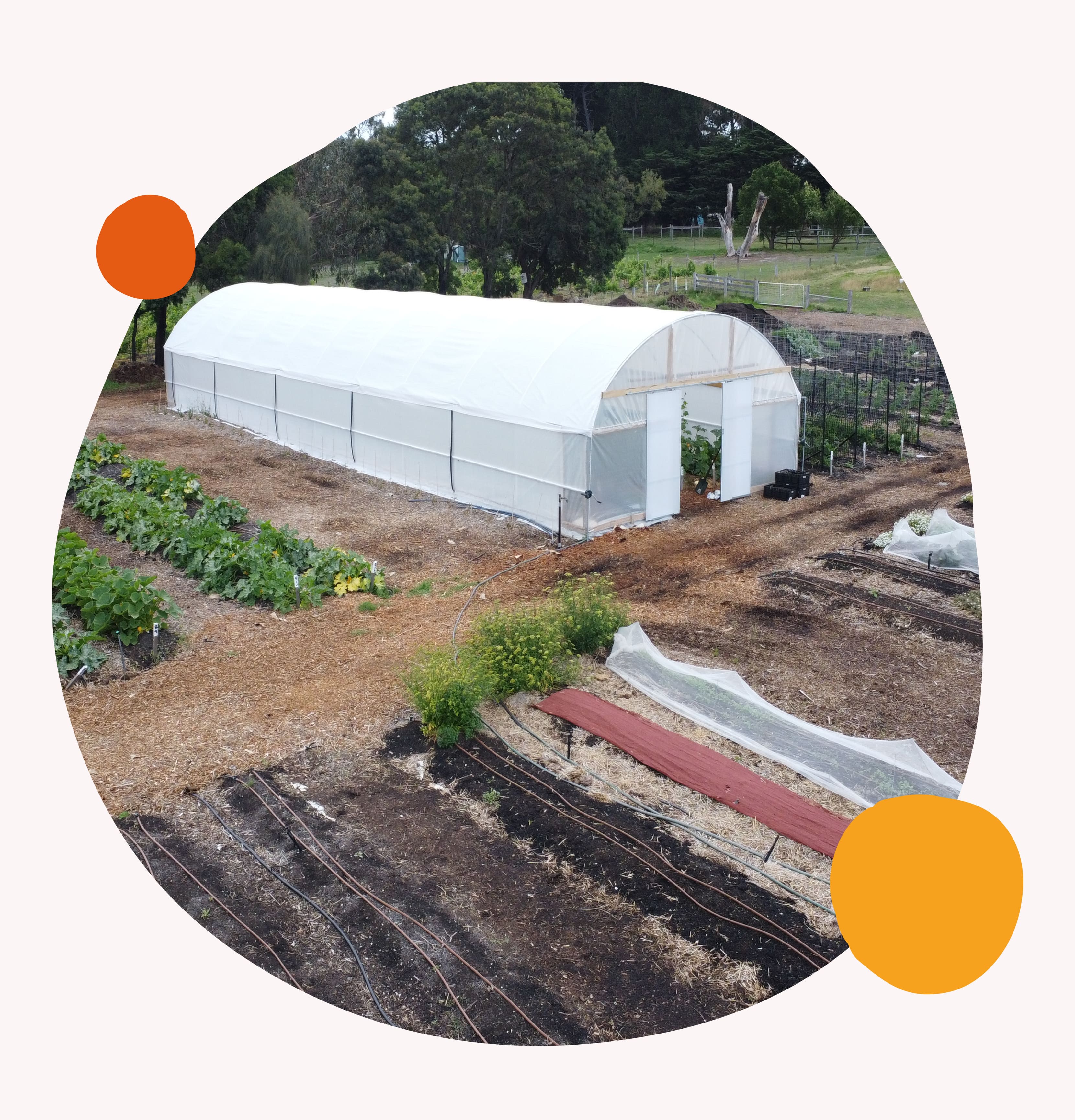 Farm My School pilot project and market garden at Bellarine Secondary College Drysdale Campus, supporting sustainability, education, and community engagement