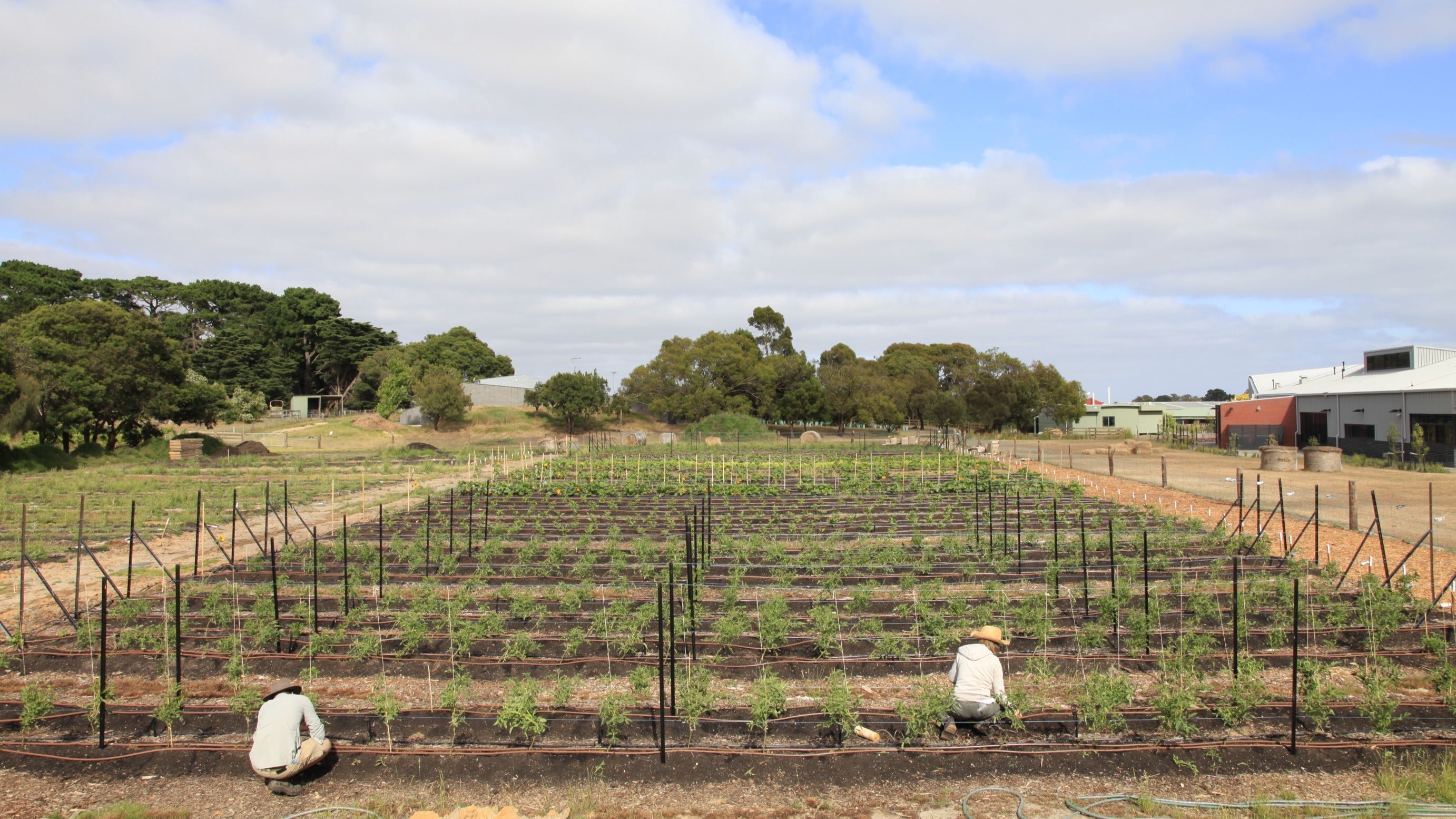 Scaling to Colac: A Replicable Model for Food & Education