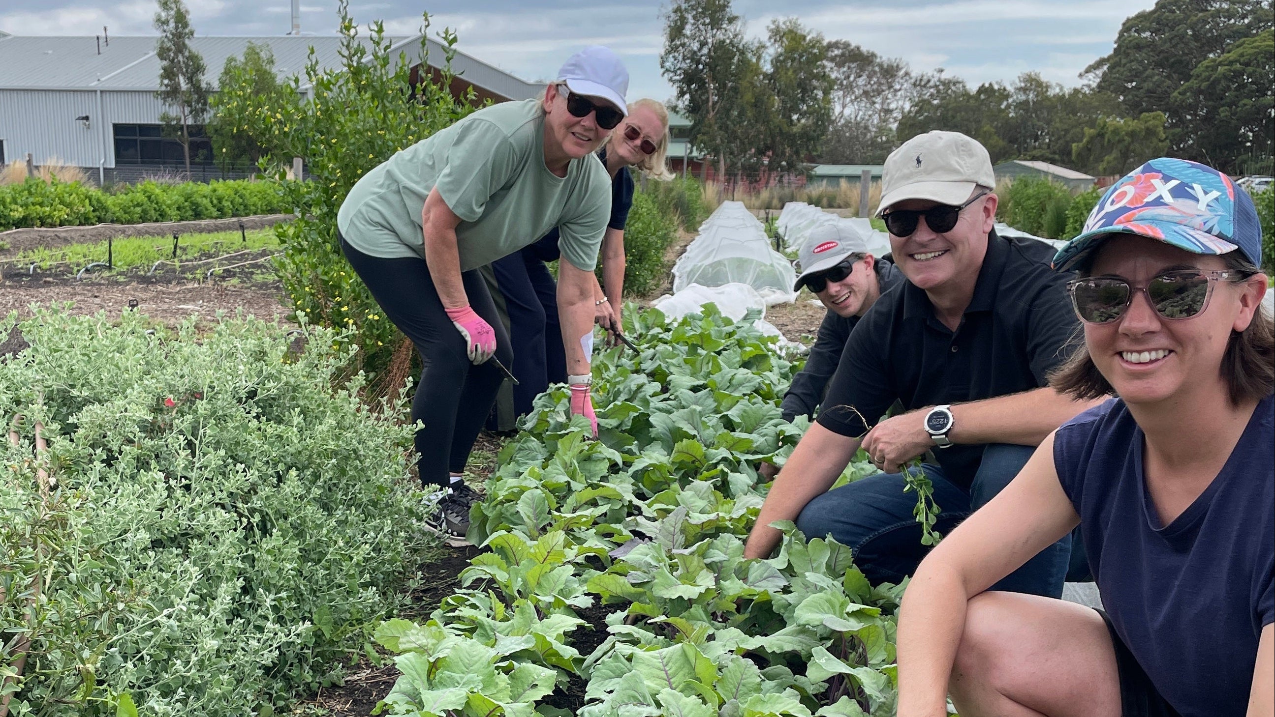 Corporate team building group at Farm My School Bellarine farm