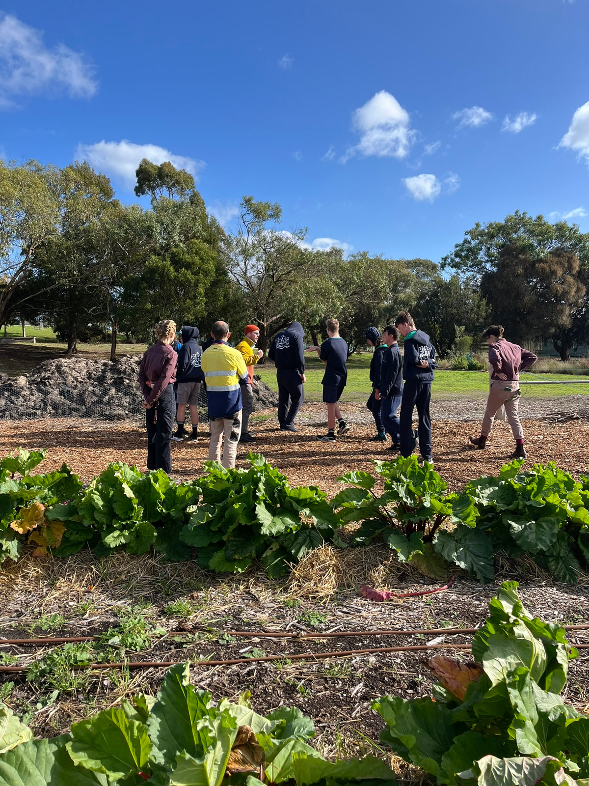 Students experience Farm My School Bellarine