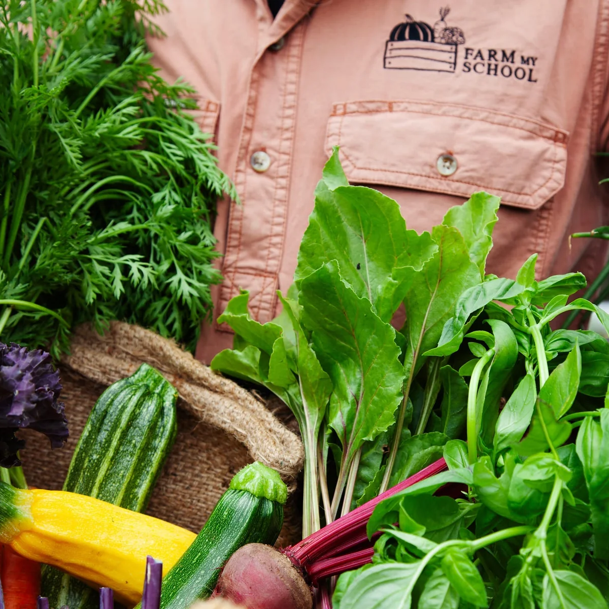 Farm My School | Veggie Boxes